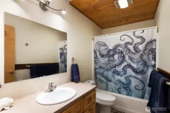 Downstairs full bath
