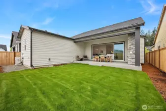 Spacious backyard