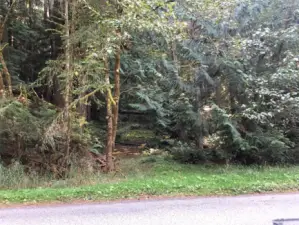 30 Foot P-4 Access Easement off of Lake Louise Road (past property).