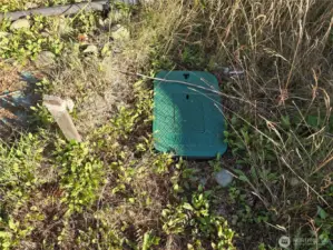 Water on property