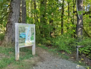 Park walking trails
