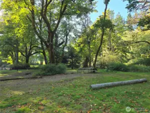 Picnic area/campground at park