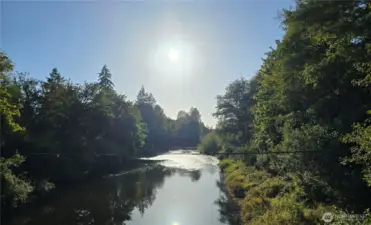 East Satsop River through the park. Great for fishing!