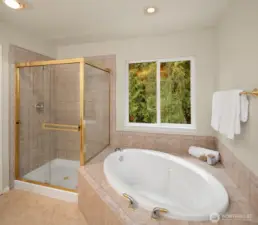 Large tub and shower.