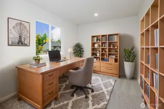 Staged Downstairs Bedroom / Office