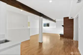 Lower Level rec room