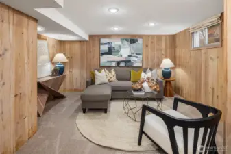 Lower Level bonus room perfect movie hang,  games, home gym and more!