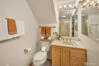 Lower level 3/4 bath