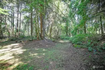 Cleared area close to Pan Abode cabin and shed on lot 7. Plenty of room to park and turn around; room for RV.