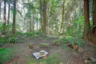 Fire pit with room to enjoy this beautiful piece of land.