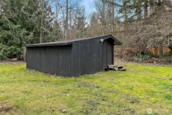 Backyard Shed work space