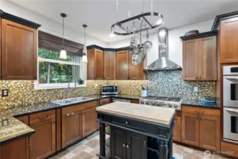 Chefs kitchen with island that stays, granite countertops, and stainless appliances that all convey.