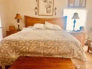 Over sized Primary with king sized bed