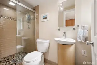 Lower level 3/4 bathroom