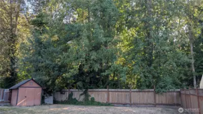 Mature Greenbelt