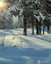 Winter on the golf course!