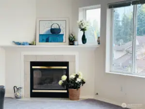 Gas fire place