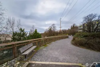 Park trails leading to Boulavard Park and Downtown Bellingham.