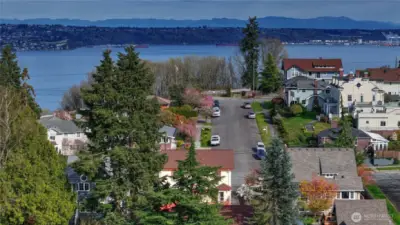 Toward the water, and to the right, is Tacoma's old Baptist Seminary- an iconic building in its own right and for those of you who are ollllddd school T-towners, you may recognize Mama Lamoyne's mansion.  What a wonderful neighborhood.