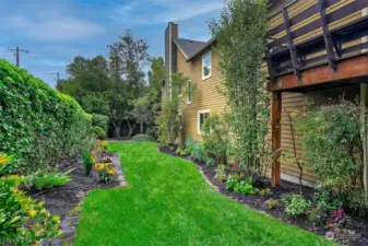 Gorgeous side yard.  Corn hole?  Fetch with the pooch?