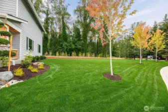 Beautiful 15011 sq ft homesite located on the Tolt River greenbelt