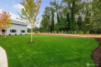 Beautiful 15011 sq ft homesite located on the Tolt River greenbelt