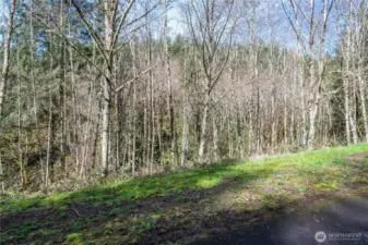 property from the Champion Rd side as you drive in.