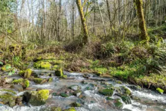 Beautiful creek on the east side of the property