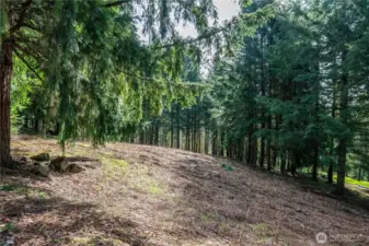 Cleared and ready for your vision. Secluded and private!
