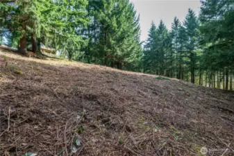 Slight slope where cleared