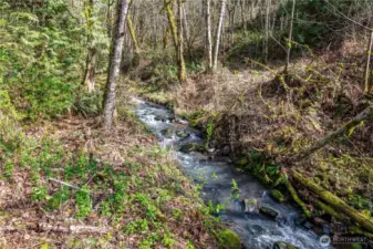 hear the creek from all spots on the property