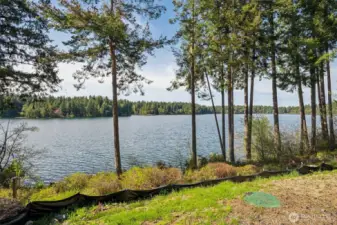 Expansive views of Clear Lake from your backyard