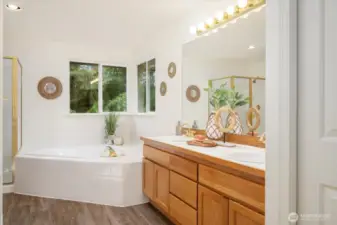 Large soaking tub and shower