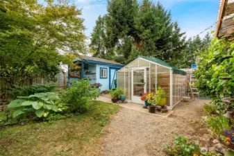 A green house ready to go + a shed
