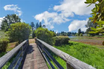 walking path to the lake area and open grass space