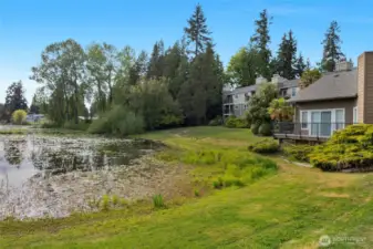 alternate view of the back of the clubhouse