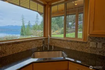 Kitchen sink with a view, whole house filtered water
