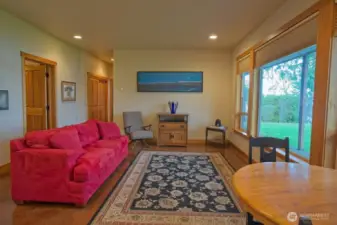 Lower Level Living Room