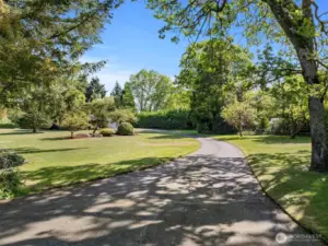 Sprawling grand driveway to your 1.29acre oasis!