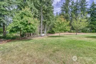 Another view of the back yard with wooded buffer for privacy.