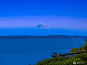 Iconic Mt. Rainier at twilight!