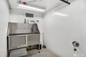 Dog Wash Station