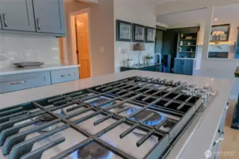 Cook/Serve Island with gas cooking and downdraft