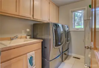 Large downstairs utility room with deluxe LG W/D