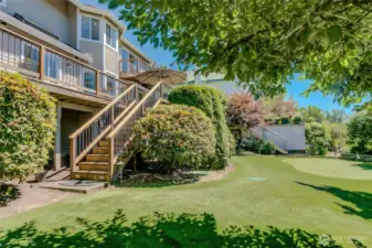 Backyard with low maintenance yard