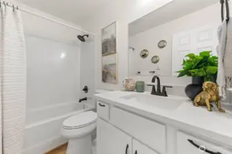 Full guest bathroom