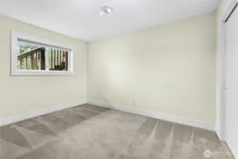 Lower level bedroom