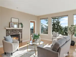 Fireplace in Great Room.