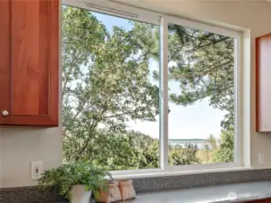 Views of Cascades from the kitchen.