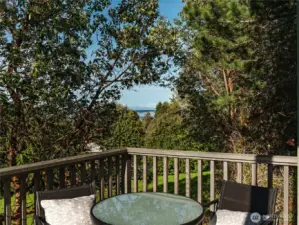 View from the primary deck of dining area.